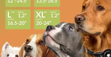 Collar para AirTags y perros de todos los tamaños